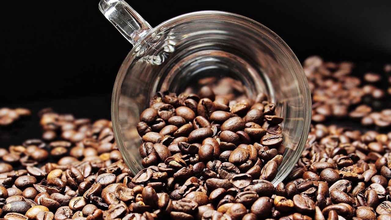 Caffeine God! Friedlieb Ferdinand Runge celebrated in today's Google Doodle Caffeine God! Friedlieb Ferdinand Runge celebrated in today's Google Doodle