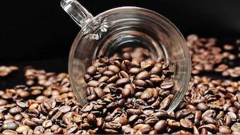 Caffeine God! Friedlieb Ferdinand Runge celebrated in today's Google Doodle