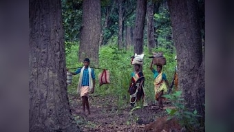 SC stays eviction order on forest land: Centre's application to apex court points out grave anomalies in rejection of land title claims