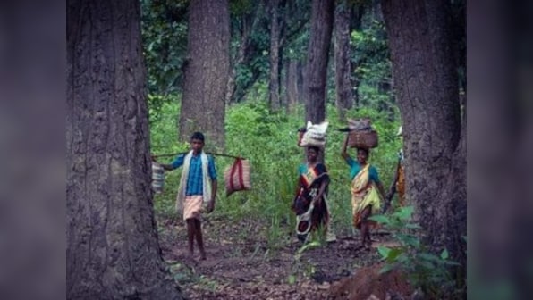 SC stays eviction order on forest land: Centre's application to apex court points out grave anomalies in rejection of land title claims