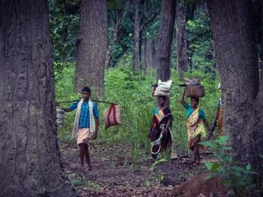 SC stays eviction order on forest land: Centre's application to apex court points out grave anomalies in rejection of land title claims SC stays eviction order on forest land: Centre's application to apex court points out grave anomalies in rejection of land title claims