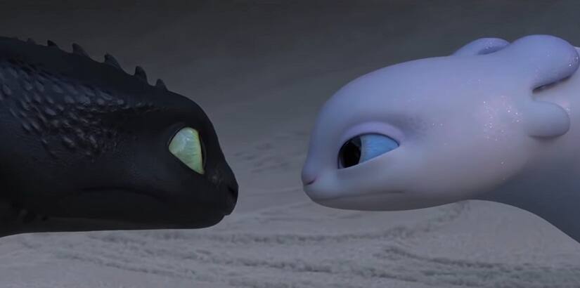 A still from How to Train 