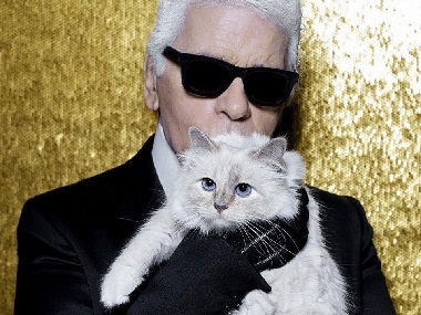 Karl Lagerfeld's cat Choupette likely to inherit part of fashion designer's $200 mn fortune Karl Lagerfeld's cat Choupette likely to inherit part of fashion designer's $200 mn fortune