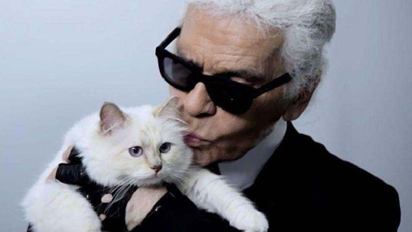 Karl Lagerfeld's cat Choupette likely to inherit part of fashion ...
