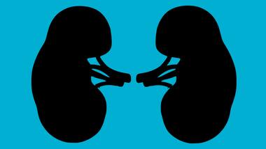 Controlling hypertension is essential to preventing kidney failure