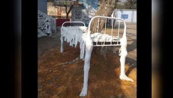 At Kolkata's Pavlov Mental Health Hospital, art offers a unique perspective into the experiences of patients