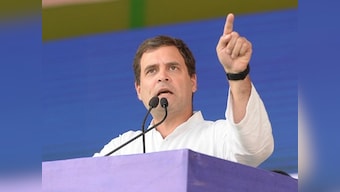 Narendra Modi stole from Andhra Pradesh and gave it to Anil Ambani: Rahul Gandhi at Chandrababu Naidu's day-long fast