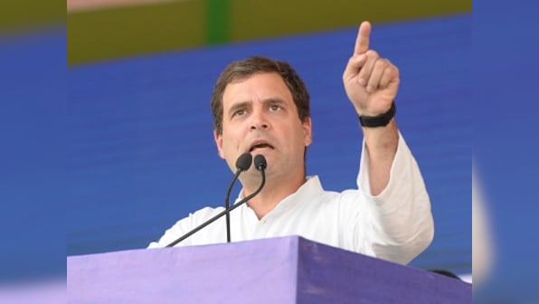 Narendra Modi stole from Andhra Pradesh and gave it to Anil Ambani: Rahul Gandhi at Chandrababu Naidu's day-long fast