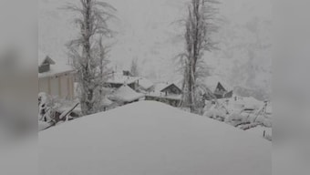Cold wave in India: Fresh snowfall in Himachal Pradesh's Shimla disrupts efforts to clear roads; avalanche reported in J&K's Kulgam