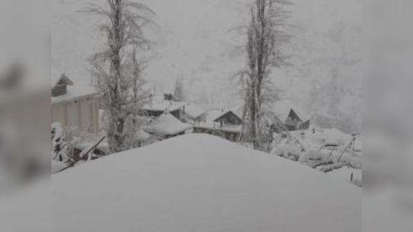 Cold wave in India: Fresh snowfall in Himachal Pradesh's Shimla disrupts efforts to clear roads; avalanche reported in J&K's Kulgam