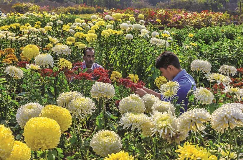 119. Garderners at work_PHOTO CREDIT - Narendra Bisht courtesy Sahapedia(dot)org-min