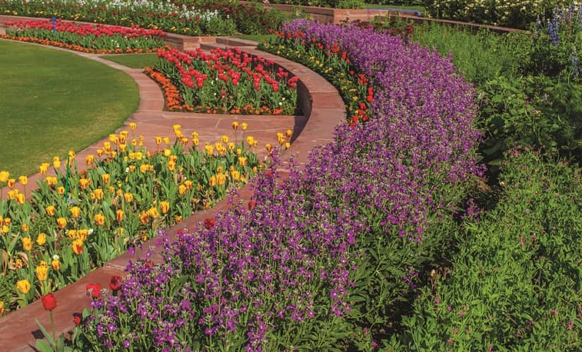 127. Flowerbed_PHOTO CREDIT - Narendra Bisht courtesy Sahapedia(dot)org-min