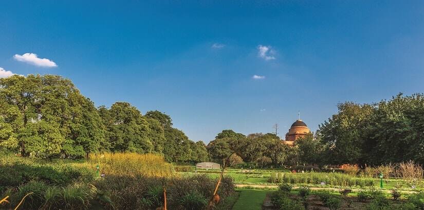 21. The Herbal garden_PHOTO CREDIT - Narendra Bisht courtesy Sahapedia(dot)org-min