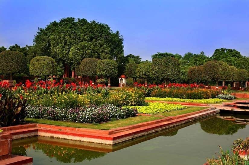 41. In summer, hardy canna and rosy periwinkl_PHOTO CREDIT - Narendra Bisht courtesy Sahapedia(dot)org-min