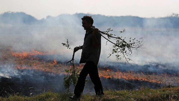 Stubble burning costing India $152.9 billion in health expenses over five years: Study