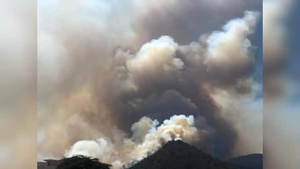 As Bandipur forest blaze finally dies down, activists question missing 'fire lines' and vacant posts