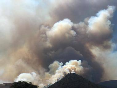 As Bandipur forest blaze finally dies down, activists question missing 'fire lines' and vacant posts