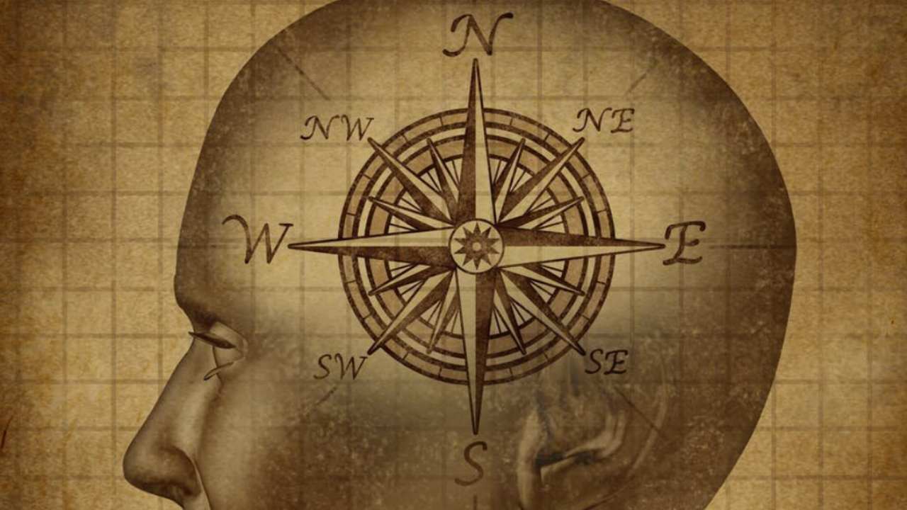 Humans have a 'magnetic sense' that lets our brains detect Earth’s magnetic field Humans have a 'magnetic sense' that lets our brains detect Earth’s magnetic field