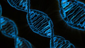 Microsoft presents a Rube Goldberg-esque contraption for storing data in DNA
