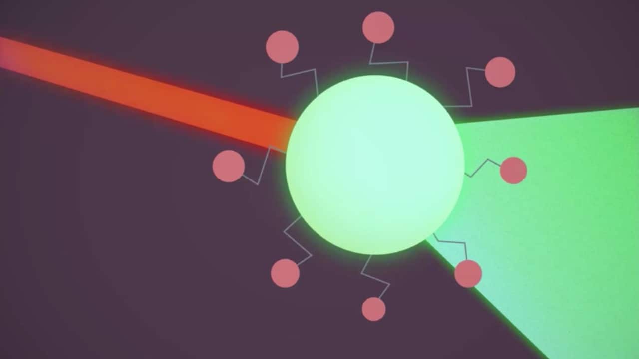 Graphical representation of the process in action_When infrared light red reaches a photoreceptor cell light green circle, the nanoparticles pink circles convert the light into visible green light Image credit: Cell