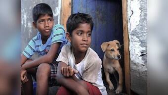 Kaaka Muttai, Aruvi, Kavan, Sarvam Thaala Mayam: How media sensationalism drives diverse narratives in Tamil cinema
