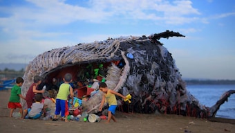 Dead whale washes up in Philippines shores with 40 kg of plastic in its stomach