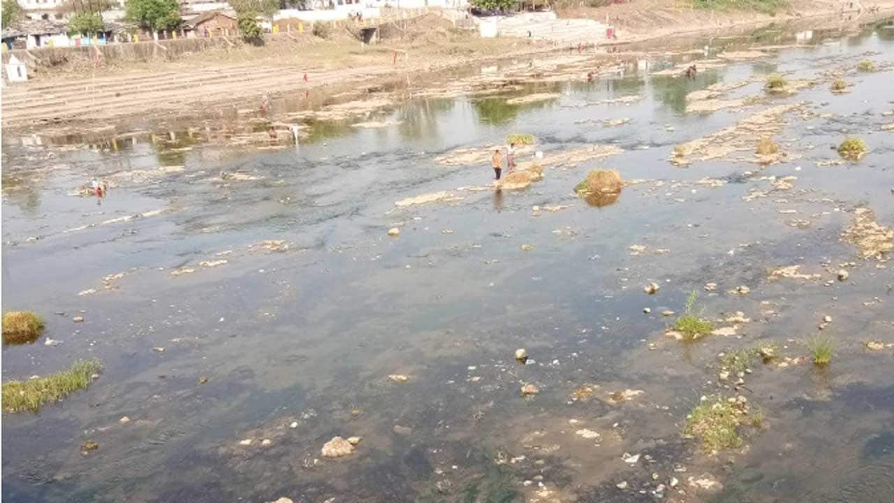 case study of water pollution in narmada river