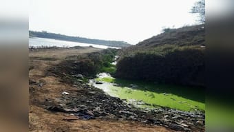 Drying rivers of Madhya Pradesh: Narmada on the cusp of extinction with six big dams, sand-mining, pollution threatening its survival