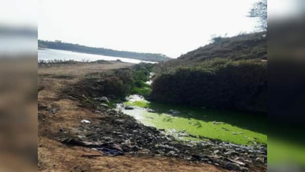 Drying rivers of Madhya Pradesh: Narmada on the cusp of extinction with six big dams, sand-mining, pollution threatening its survival
