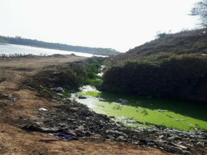 Drying rivers of Madhya Pradesh: Narmada on the cusp of extinction with six big dams, sand-mining, pollution threatening its survival
