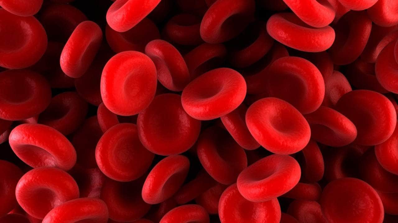 An illustration of healthy Red Blood Cells.