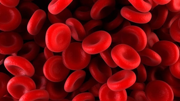 Coronavirus Outbreak: Could blood groups and their antibodies affect one's immunity to SARS-CoV2?