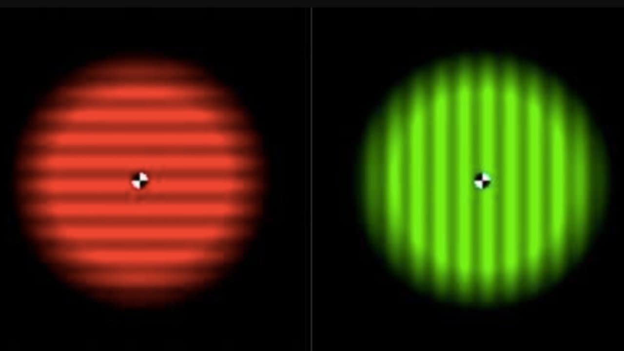 The red and green lines used as a visual cues in the experiment. Image credit: Scientific Reports/Pearson et al