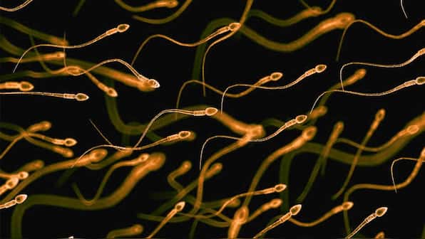Scientists have found that human sperm retains its viability in space if frozen