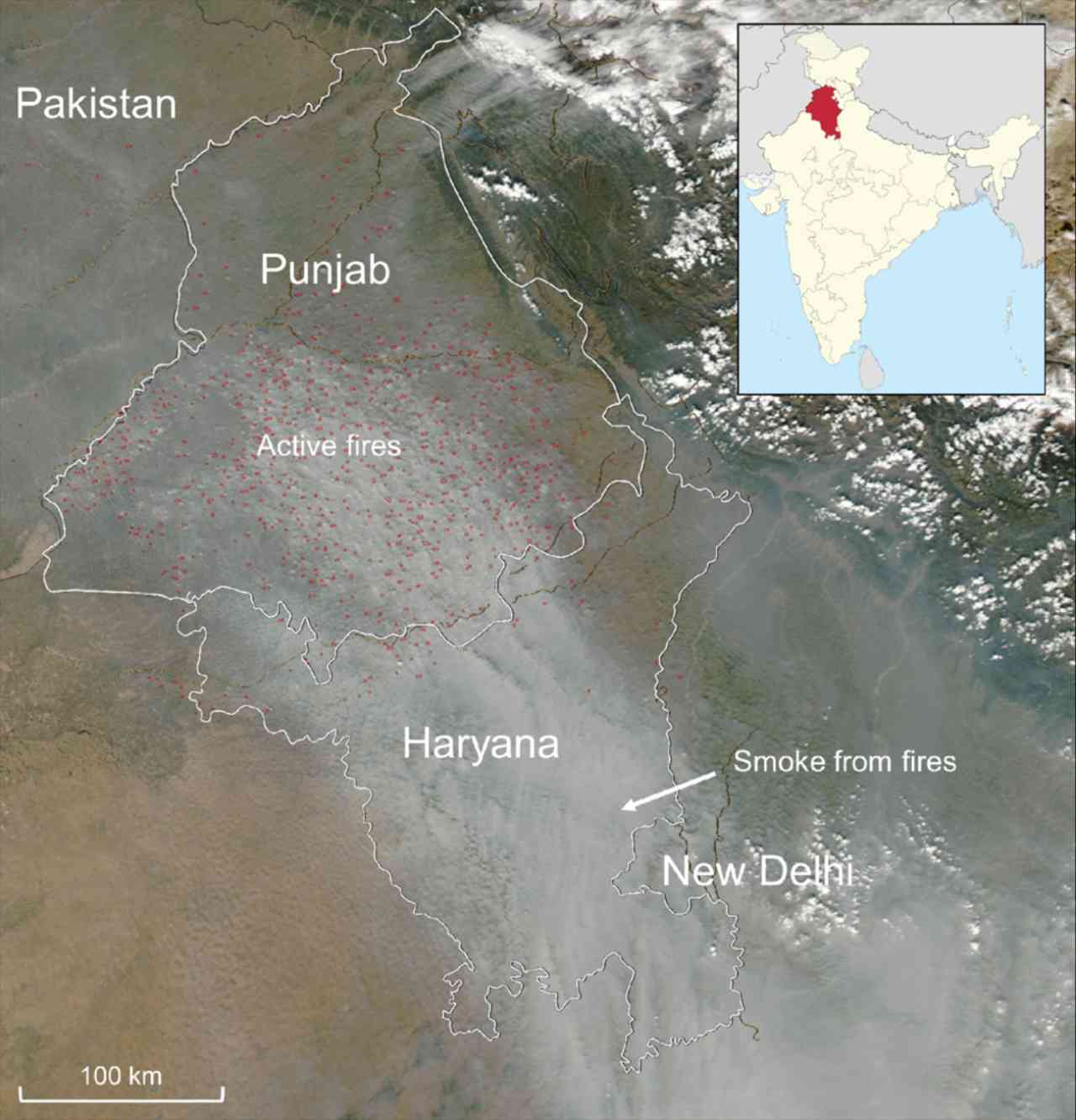 Stubble burning costing India 2.9 billion in health expenses over five years: Study