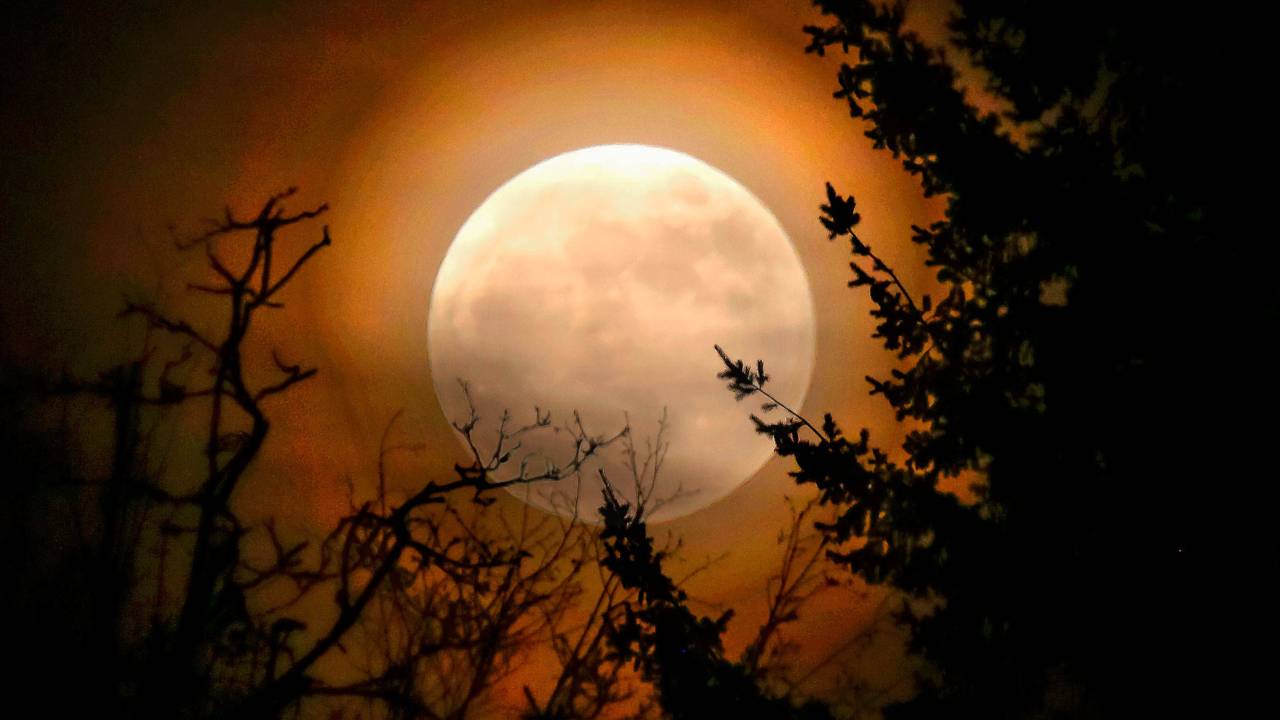 Flower Super Moon 2020: All you need to know about this year's ...