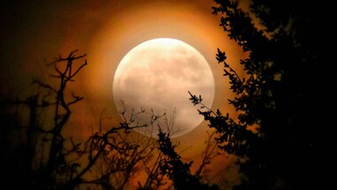 Flower Super Moon 2020: All you need to know about the last super moon of the year that will occur today at 4.15 pm IST