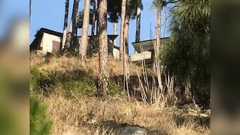 Pakistan denies journalists access to JeM madrasa in Balakot targeted in IAF strikes, claims air attacks caused no damage