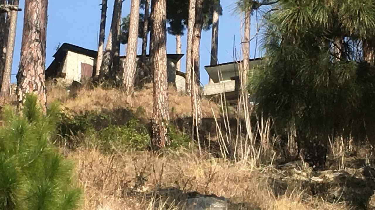 A building, which residents claim is a madrasa, near to the site of IAF’s air strikes in Balakot, Pakistan. Reuters