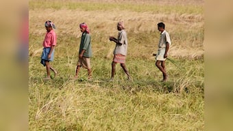 Union Budget 2019: Will Finance Minister Nirmala Sitharaman be able to salvage the agriculture sector?