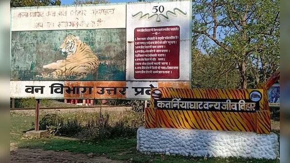 Uttar Pradesh's forest farmers await official recognition, govt benefits even after 72 years of Independence