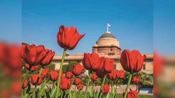 Mughal Gardens of Rashtrapati Bhavan: A chronicle of the state garden in public service