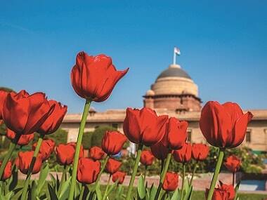 Mughal Gardens of Rashtrapati Bhavan: A chronicle of the state garden in public service