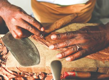 The last drags of a famed Trichinopoly cigar The last drags of a famed Trichinopoly cigar