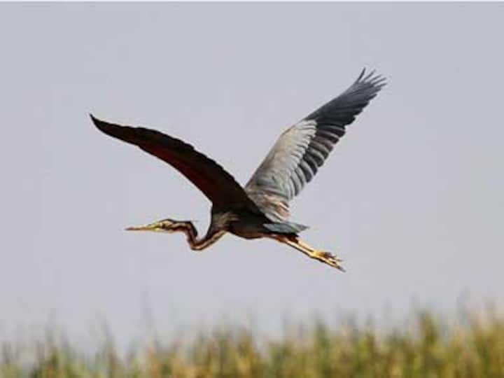 Firstpost Image