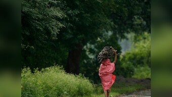 SC order on evicting forest dwellers: Protecting indigenous communities’ rights is key in fight against climate change