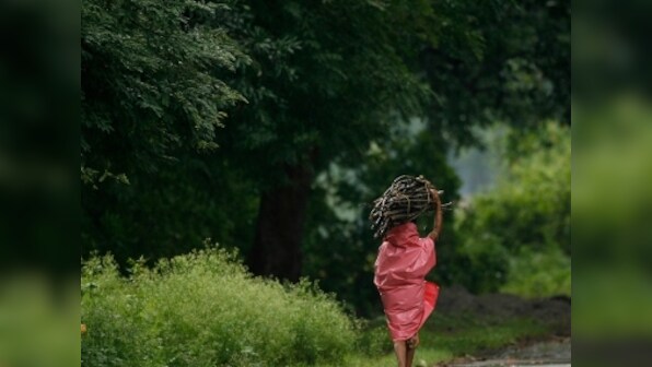 Chhattisgarh govt begins survey to rehabilitate and resettle 5,000 tribal families who fled Maoist-affected Bastar in 2005