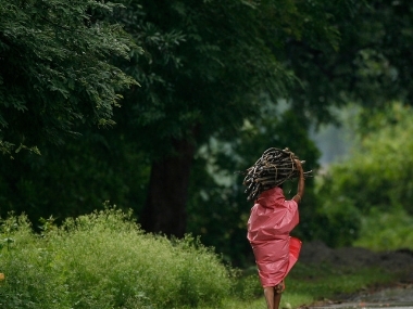 SC order on evicting forest dwellers: Protecting indigenous communities’ rights is key in fight against climate change SC order on evicting forest dwellers: Protecting indigenous communities’ rights is key in fight against climate change