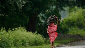 Nature Conservation Day 2019: Forest Rights Act attempt to right historical wrongs, recognise role of traditional forest dwellers in conservation'