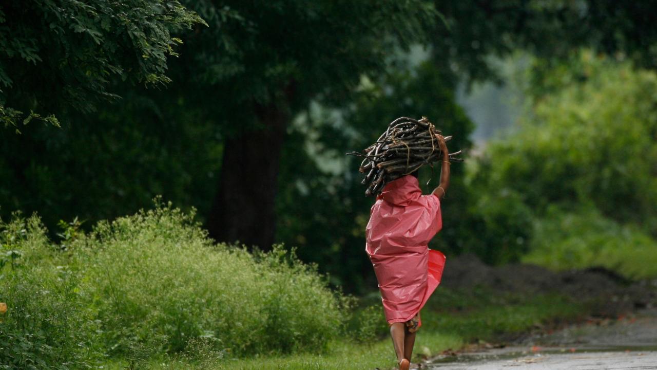 Nature Conservation Day 2019: Forest Rights Act attempt to right historical wrongs, recognise role of traditional forest dwellers in conservation' Nature Conservation Day 2019: Forest Rights Act attempt to right historical wrongs, recognise role of traditional forest dwellers in conservation'